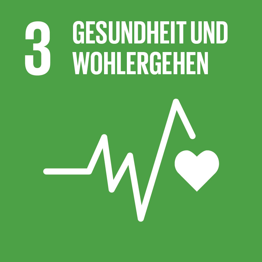 Home sdg icon de 03