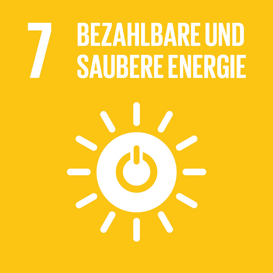 Home sdg icon de 07