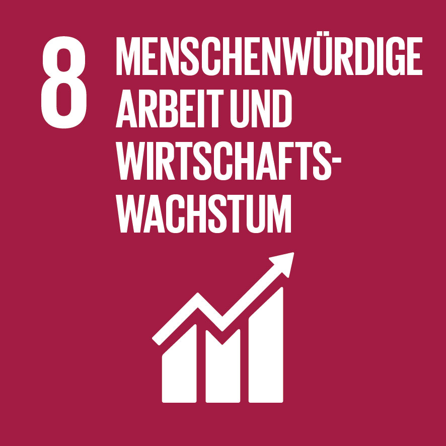 Home sdg icon de 08