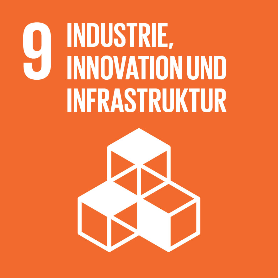 Home sdg icon de 09