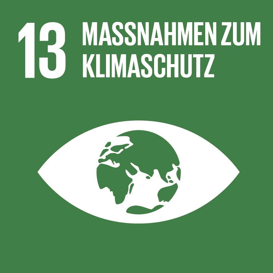 Home sdg icon de 13