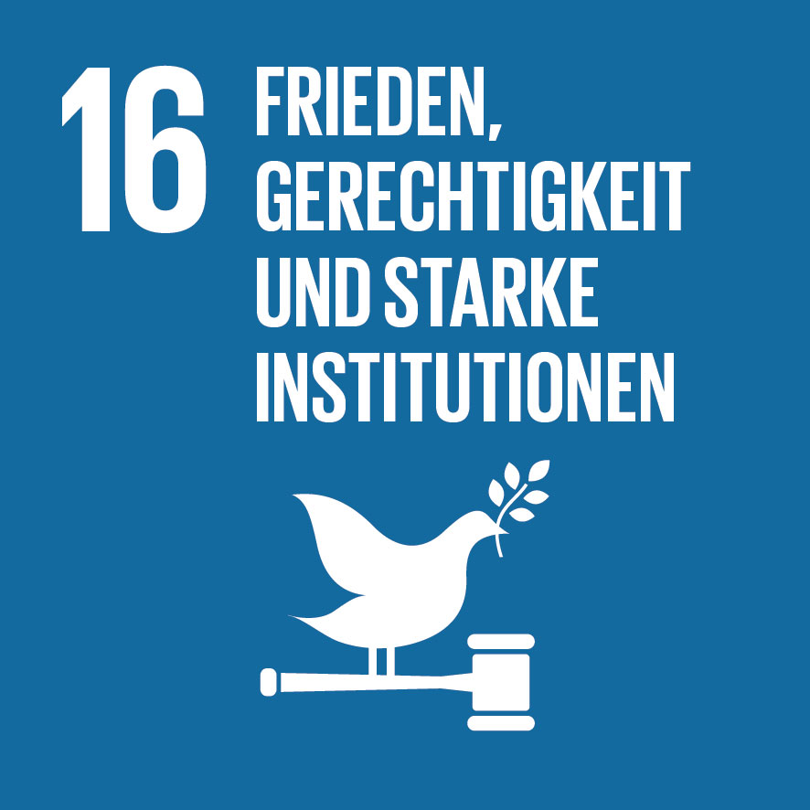 Home sdg icon de 16